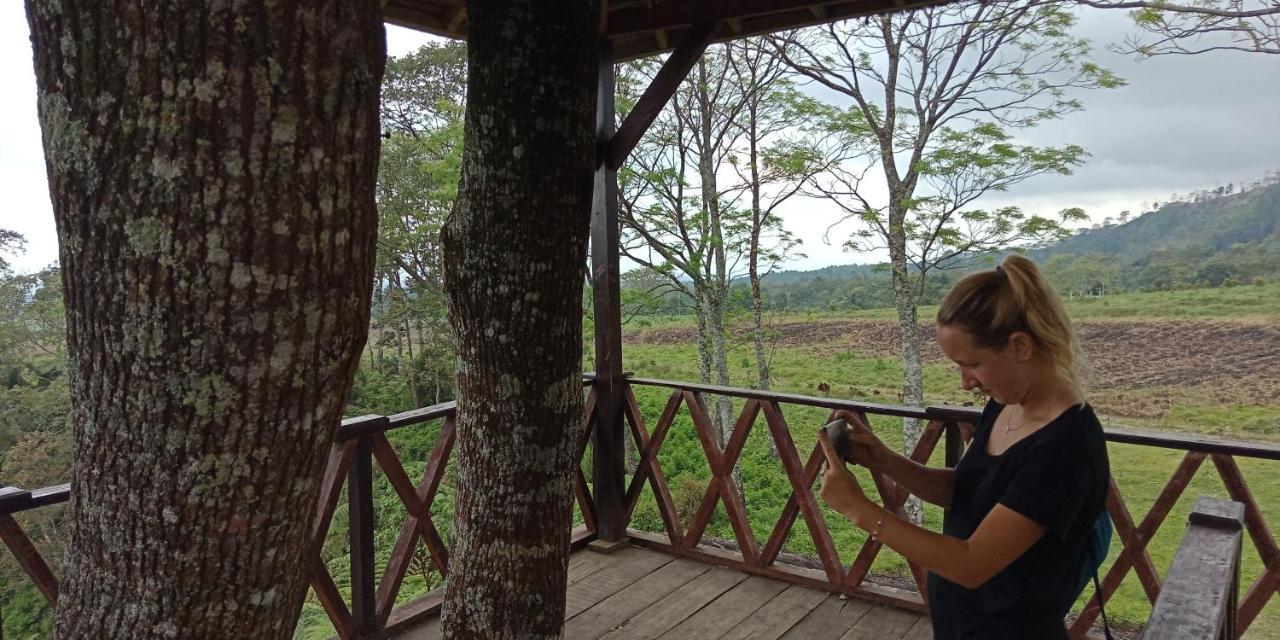 Cheap Inn Banyuwangi Banyuwangi  Dış mekan fotoğraf