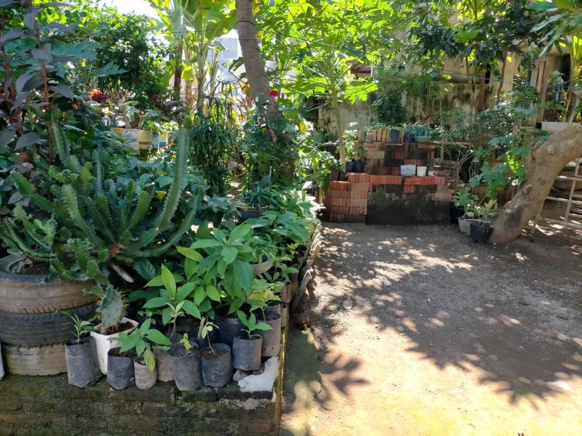 Cheap Inn Banyuwangi Banyuwangi  Dış mekan fotoğraf