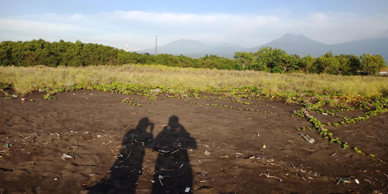 Cheap Inn Banyuwangi Banyuwangi  Dış mekan fotoğraf